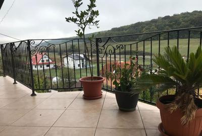 Casa D-P-E 5 camere, 175mp,utili,500 mp teren, 0% comision - 14