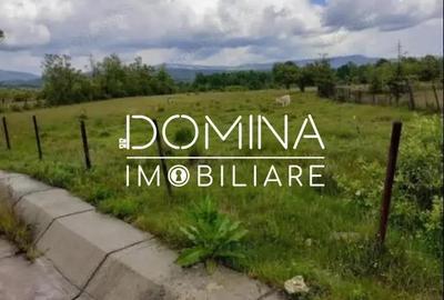 Vanzare teren 5000 mp, intravilan+extravilan, in comuna Crasna - 3