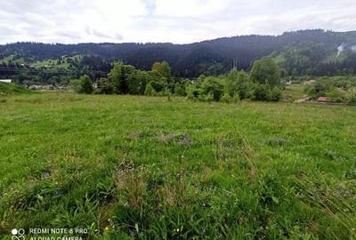 TEREN INTRAVILAN 4000 MP DE VANZARE - VATRA DORNEI - 8