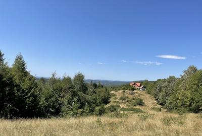 Teren extravilan de 45809 mp, în Mădrigești - 8