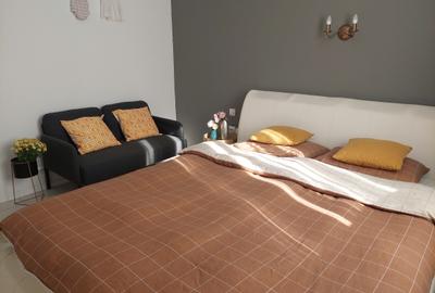 Apartament cu 2 camere decomandat, mobilat în Giurgiului - 11
