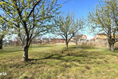 Teren de 1000 mp, în Oncea