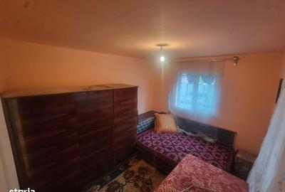 Casă cu 3 camere semidecomandat cu Teren 3197 Mp în Dumbrava - 8