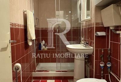 Apartament cu 3 camere decomandat în Nufărul - 10