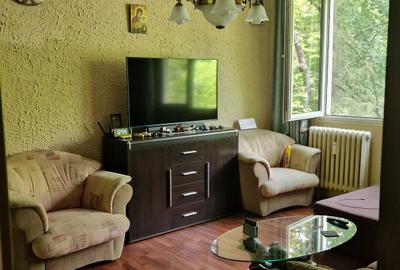 Apartament cu 3 camere semidecomandat în Valea Ialomiței - 2