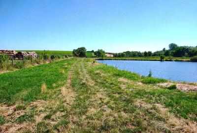 Teren de 18247 mp, în Mișca - 3