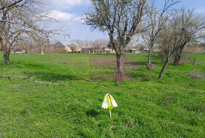Teren Construcții intravilan de 3400 mp, în Buturugeni - 32