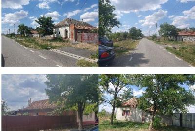 Casă cu 2 camere cu Teren 2877 Mp în Livezile - 3