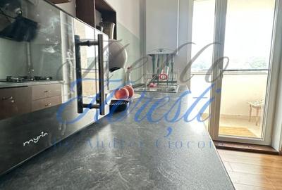 Apartament 2 camere 57mp, terasa 27mp, parcare subterana ansamblu Eroilor - 8