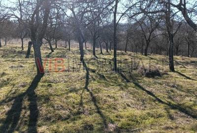 Teren de 3200000 mp, în Conop - 4