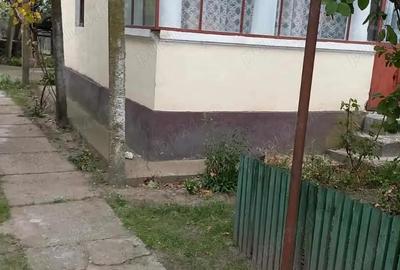 Casă cu 5 camere în Jiana - 2