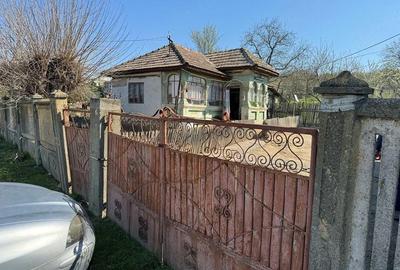 Casă cu Teren 2000 Mp în Valea Fetei - 9