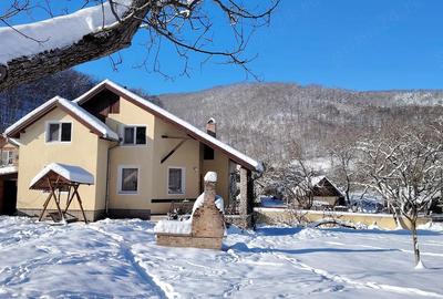 Casă cu 2 camere cu Teren 3103 Mp în Leșnic - 1