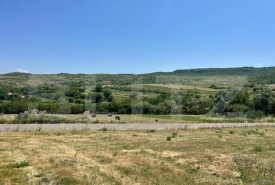 Teren intravilan, construibil in MACICASU , 3 KM de la Chint - 1