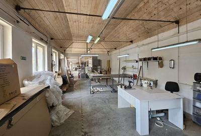 Spațiu comercial, de 220 mp, în Biharia - 10