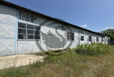 Hala de vanzare | 1.100mp I Boldesti-Scaieni - Randament ... - 6