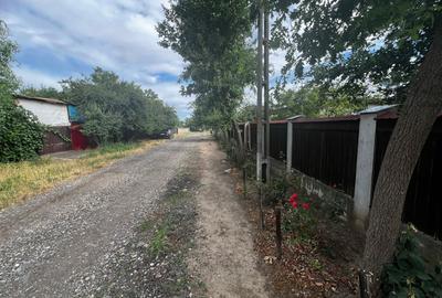 Casă individuală cu 4 camere cu Teren 1500 Mp în Jilavele - 8