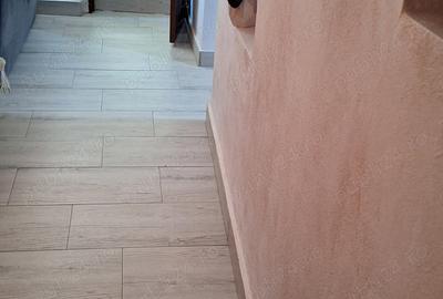 Casă cu 3 camere cu Teren 780 Mp în Troianul - 8