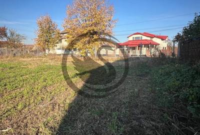 Teren de 12650 mp, în Ghirdoveni - 9