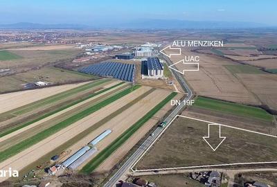 Teren de 14300 mp, în Medieșu Aurit - 5