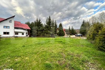 Spațiu comercial, de 600 mp, în Dălghiu - 10