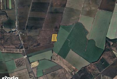 Teren de 25000 mp, în Butimanu - 3