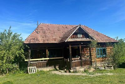 Casă cu 2 camere în Breb - 10