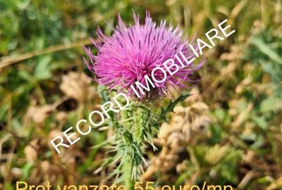 Teren intravilan 1095 mp, zona Molitura Apahida - 1