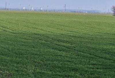 Spațiu comercial, în Central - 5