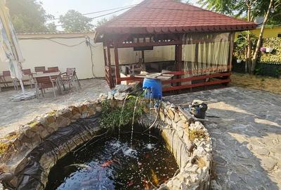 Casă cu 5 camere cu Teren 878 Mp în Ciorani - 1