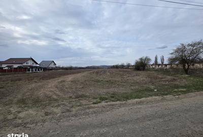 Teren de 5077 mp, în Sângeorgiu de Mureș