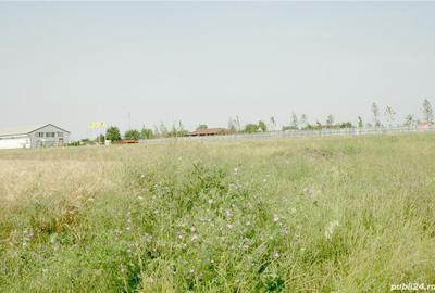 Teren de 8000 mp, în Otopeni - 1