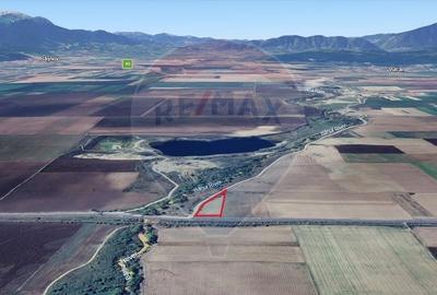 Teren agricol extravilan de 6193 mp, în Sud-Est - 29