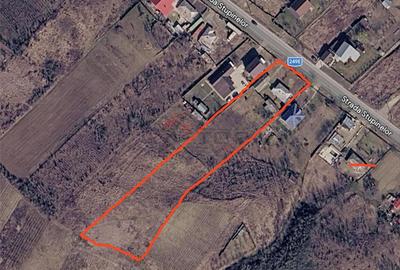 Teren de 4800 mp, în Tomești - 9