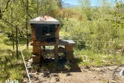 Casă cu 3 camere cu Teren 6039 Mp în Desești - 9