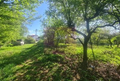 Teren de 2500 mp, în Voila