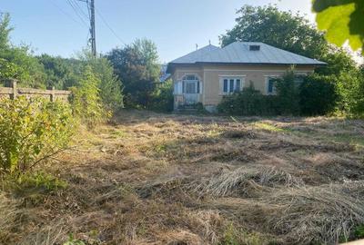 Casă cu 3 camere în Gura Foii - 3