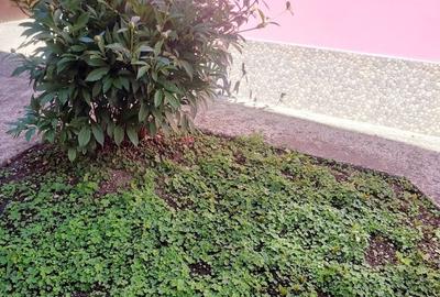 Casă în Lazaret