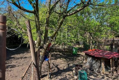 Casă individuală cu 3 camere cu Teren 601 Mp în Gruia - 2