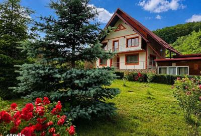 Casă cu 4 camere cu Teren 1800 Mp în Ștefănești
