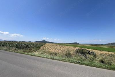 Teren de 5000 mp, în Hărman - 3