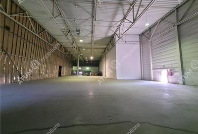 Spațiu industrial, de 1,425 mp, în Industrial Vest - 3