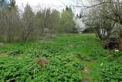 Teren de 1000 mp, în Central