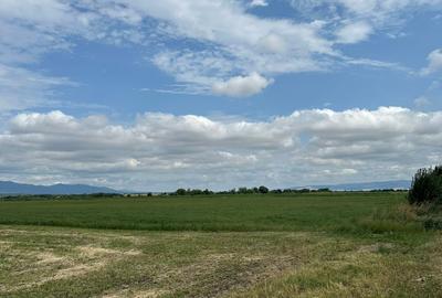 Teren agricol extravilan de 10000 mp, în Hălchiu - 1