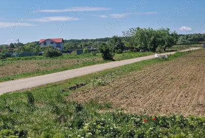 Teren de 500 mp, în Siliștea Snagovului - 5