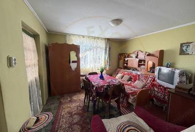 Casă cu Teren 780 Mp în Pitoi - 2