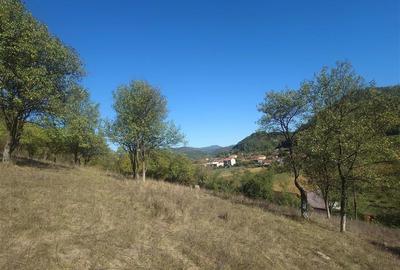 Teren Construcții extravilan de 14075 mp, în Crișcior - 6