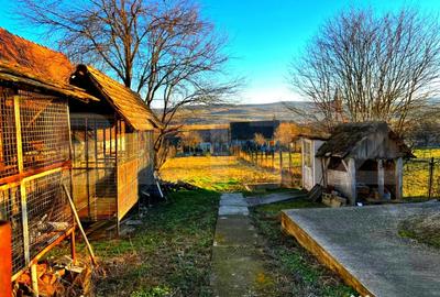 Casă cu 3 camere cu Teren 741 Mp în Cetatea de Baltă - 1