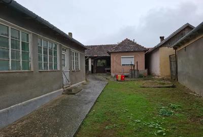 Casă cu Teren 1562 Mp în Central - 3