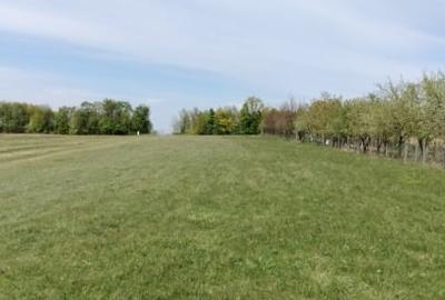Teren Construcții extravilan de 7200 mp, în Grajduri - 13